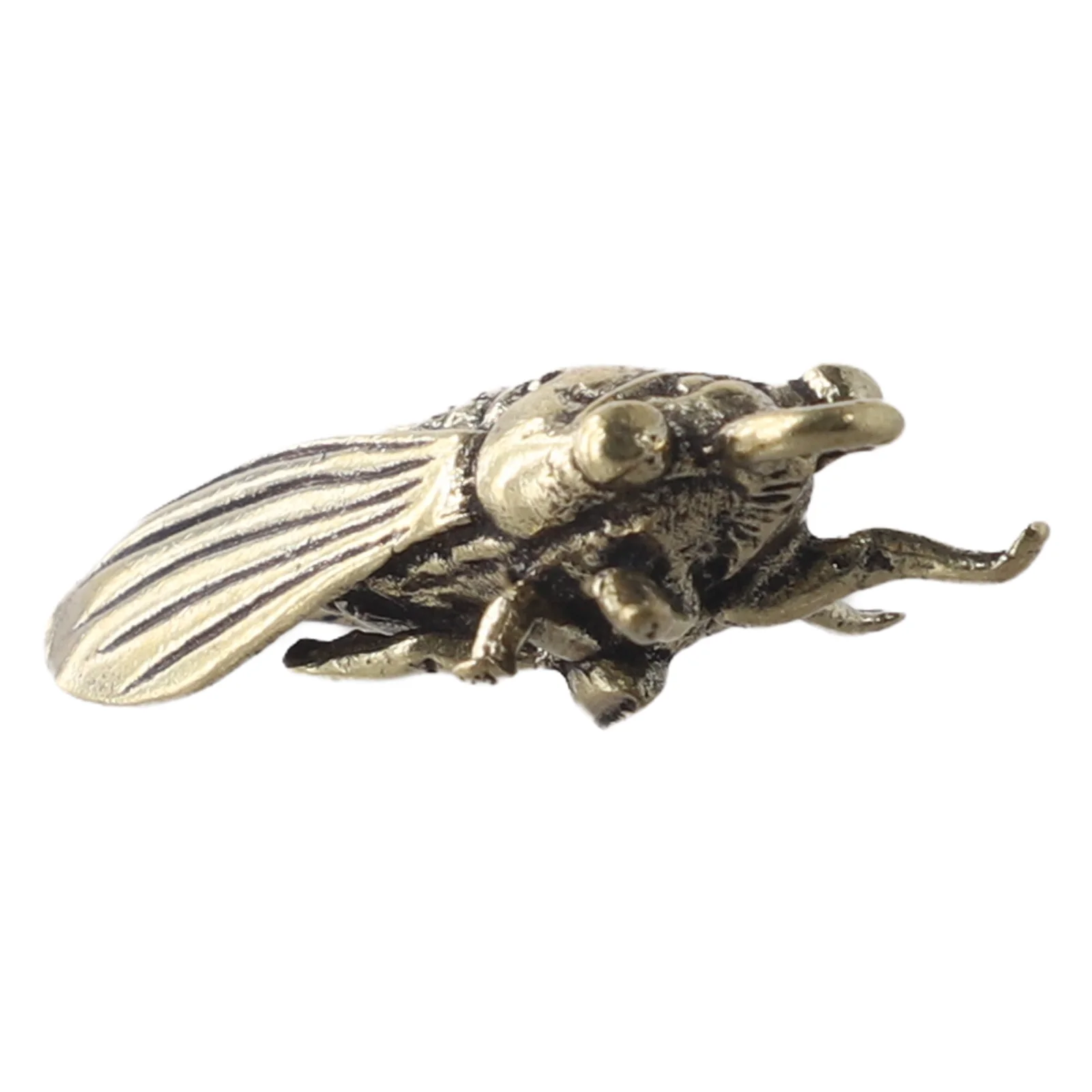 Polished Brass Cicada Decor Piece Hand-Sculpted with Delicate Line Work for Nature-Inspired or Minimalist Home Styling