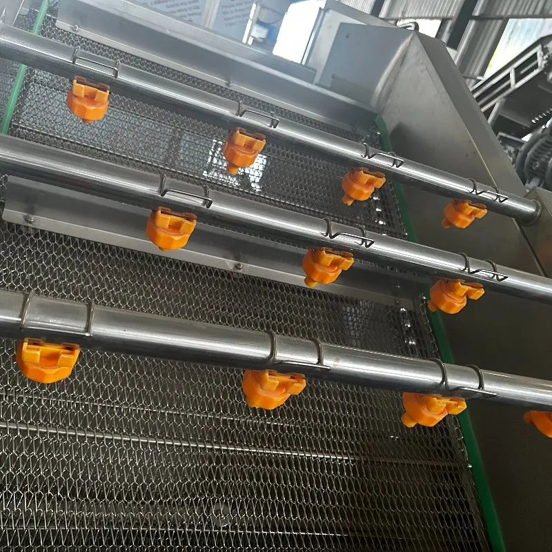 Automatic Potato Carrot Onion Vegetable Washing Machine Air Bubble Cleaning Equipment