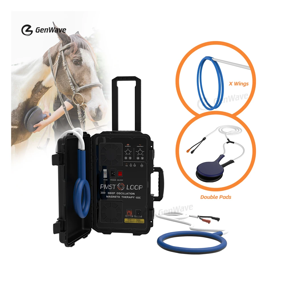 Magnetic Equine Loop Therapy PMST LOOP Animal Horses Therapy Machine