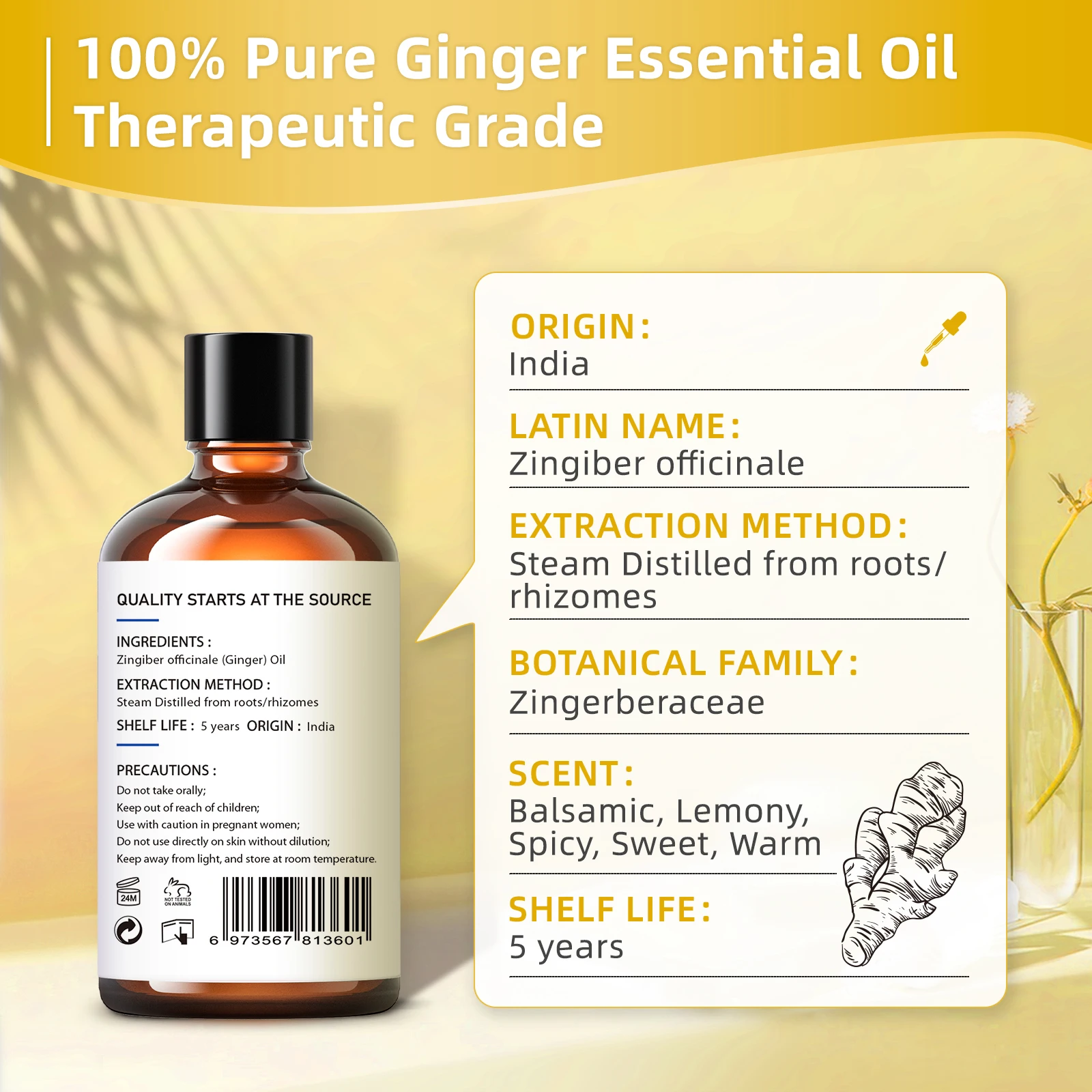 HIQILI 100ML Ginger Essential Oils for Diffuser Humidifier Massage Aromatherapy Aroma Oil for Candle/Soap Making & Hair Care