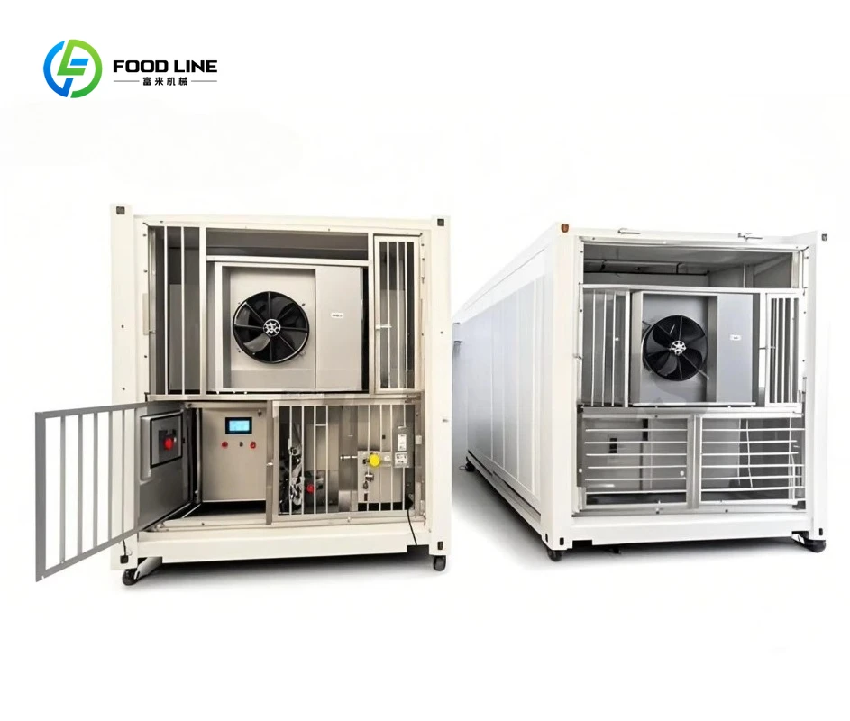 Customized Mobile 40HQ Container Defrost Cabinet PLC Control Fast Thawing Equipment for Meat Seafood