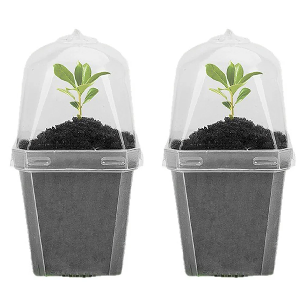 Succulent Pot Plant Nursery Pots Urban Gardening As Shown Plant Pot Efficient Drainage Airflow Vents Robust Construction