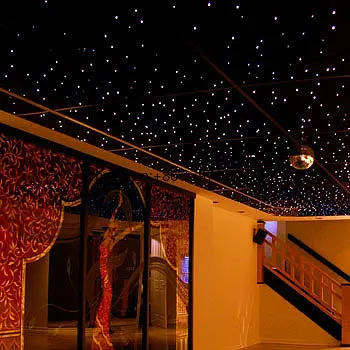 New 16W Twinkle RGB Fiber Optic Star Ceiling Lights Kit Smart  Control LED Starry Sky Fiber Optic Light Home Theater Ceiling