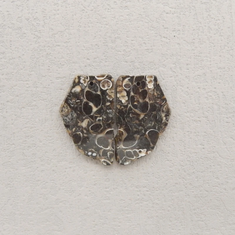 

Natural Ammonite Stone Earring Beads Nugget Shape Front Drilled DIY Jewelry Making Accessories 29x17x3mm 5.9g