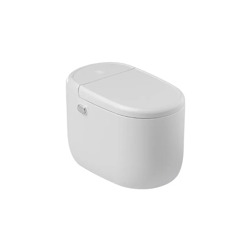 

Household color integrated smart toilet, double waterway, built-in foam shield instant type