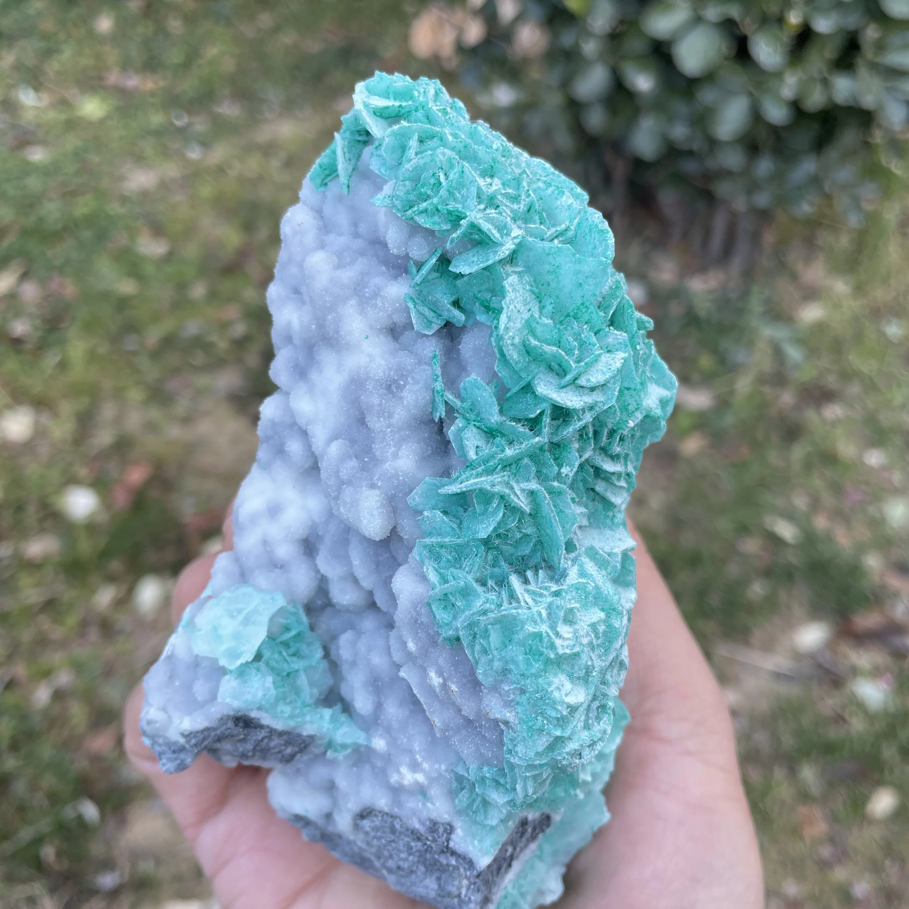 433 g natürliche rohe grüne Geweih-Mineralprobe, Quarzkristalle, Heilstein, Lehrsammlung, Heimdekoration, Hexerei, Geschenk