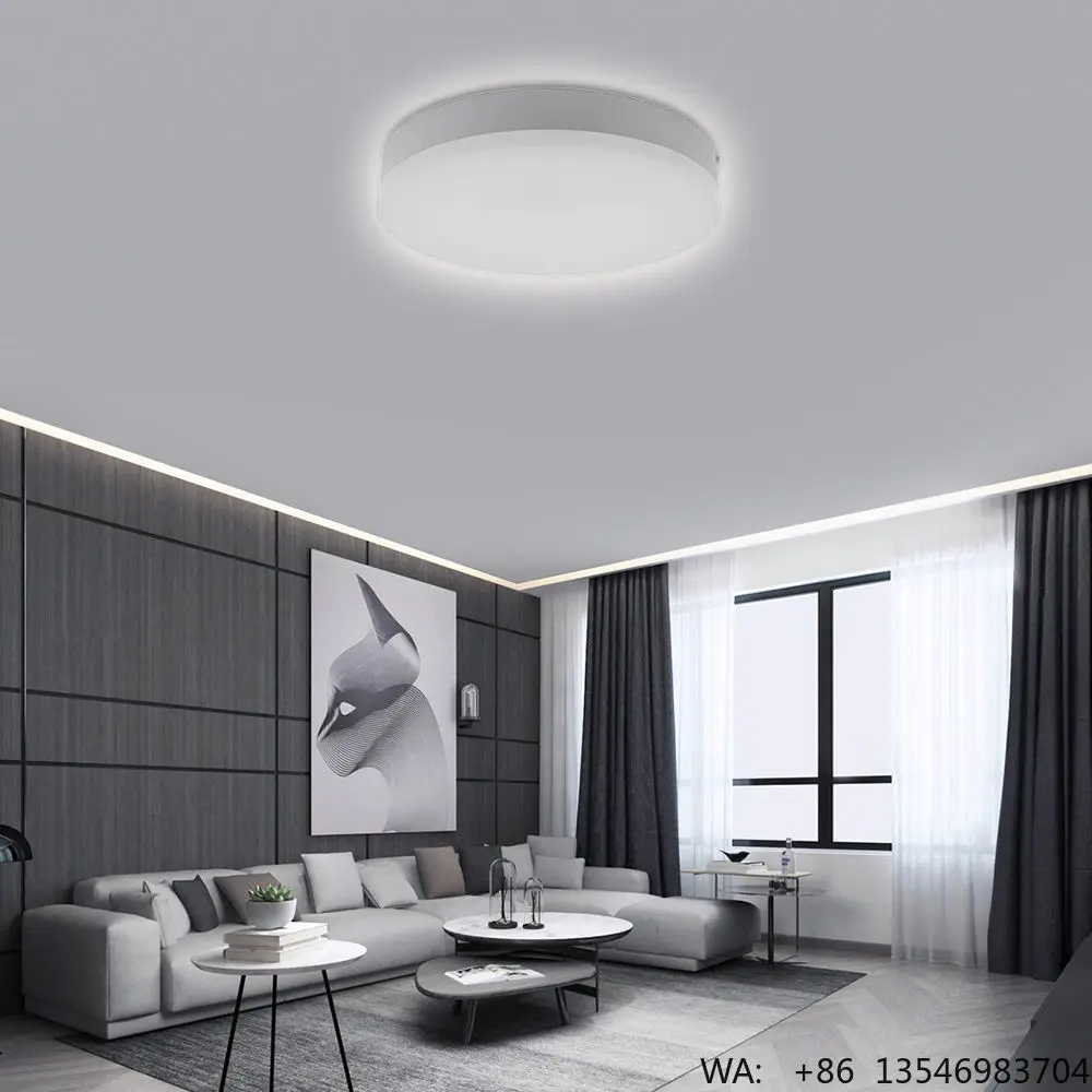 Custom Modern Decoration White Color Lighting Fixtures Round Ceiling Lights for Hallway Living Room
