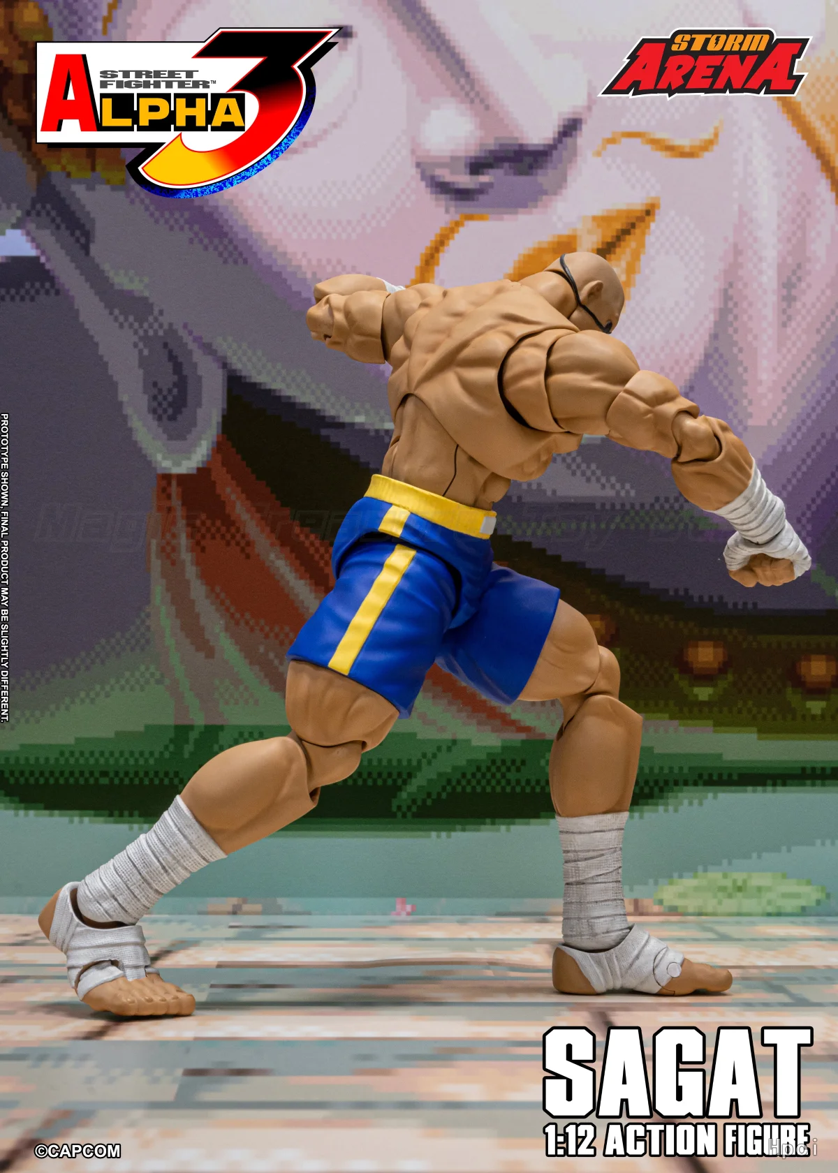 

В наличии: Storm Collectibles STORM ARENA Street Fighter Alpha 3 "STORM ARENA" игрушки в масштабе 1/12