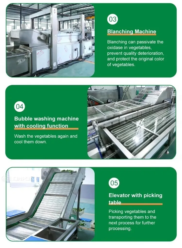 Industrial Vortex Washing Machine Fruit and Vegetable Washer Cleaning Machine