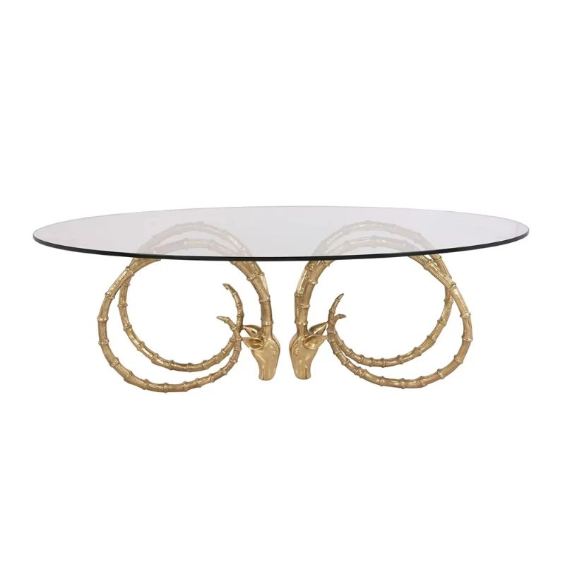 

Modern Design Oval Glass Top Metal Frame Coffee Table