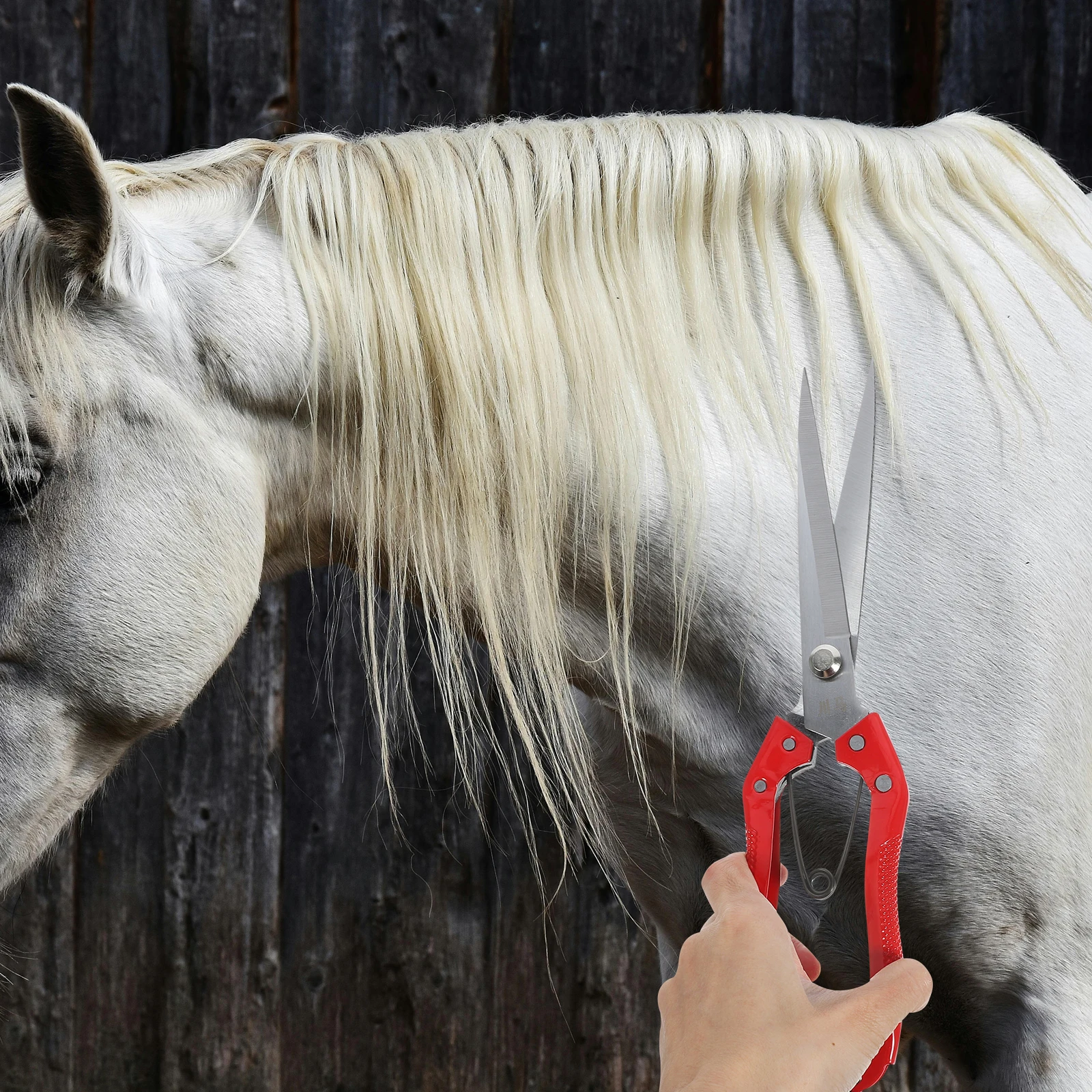 Рисунок 2 - Ножницы для фермерской шерсти