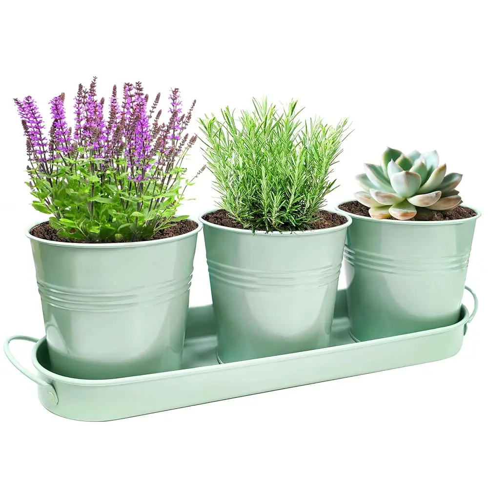 

Набор для выращивания трав в помещении - 3 шт. зеленых металлических горшков для растений (4,7 дюйма) с дренажными отверстиями и съемным поддоном - для подоконника и кухни