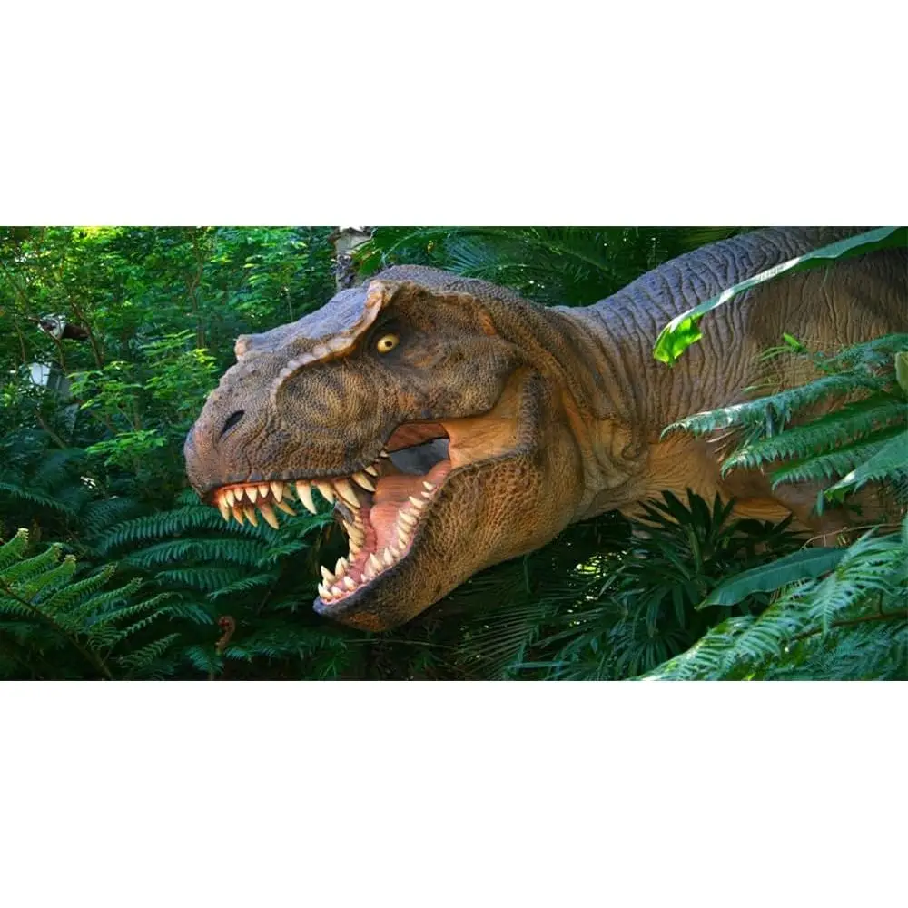 

20x10t Photography Background 3D Saari Dinosaur Birthday Party Backdrop Ancient Jungle Tropical Bush Teeth Hunting Summer Camp B