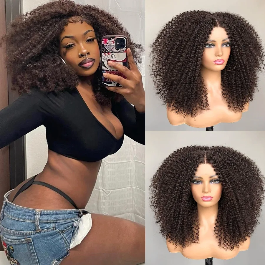 مجعد الدانتيل الجبهة الباروكات قبل قطعها قصيرة الدانتيل الجبهة الباروكات للنساء السود 13x4x1 HD بني داكن مجعد شعر مستعار أفريقي الشعر الاصطناعية 17 I