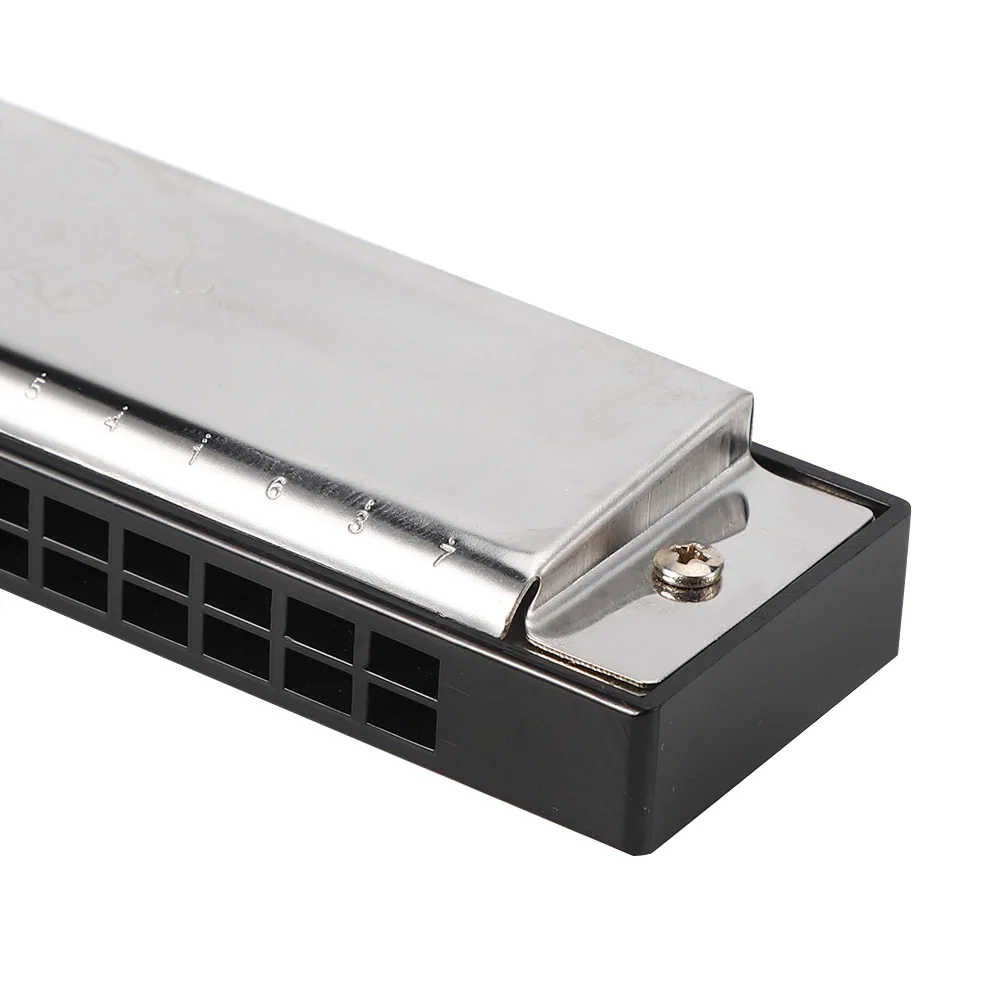 24 حفرة هارمونيكا C مفتاح الفولاذ المقاوم للصدأ الفضة مع ABS الراتنج شبكة النحاس لوحة مقعد المستوردة الفوسفور البرونزية القصب للبالغين #4