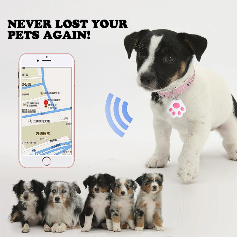 Mini traceur et localisateur GPS intelligent pour animaux de compagnie, Solution en plastique Durable de haute technologie pour propriétaires d'animaux de compagnie, nouvel arrivage, 3 pièces