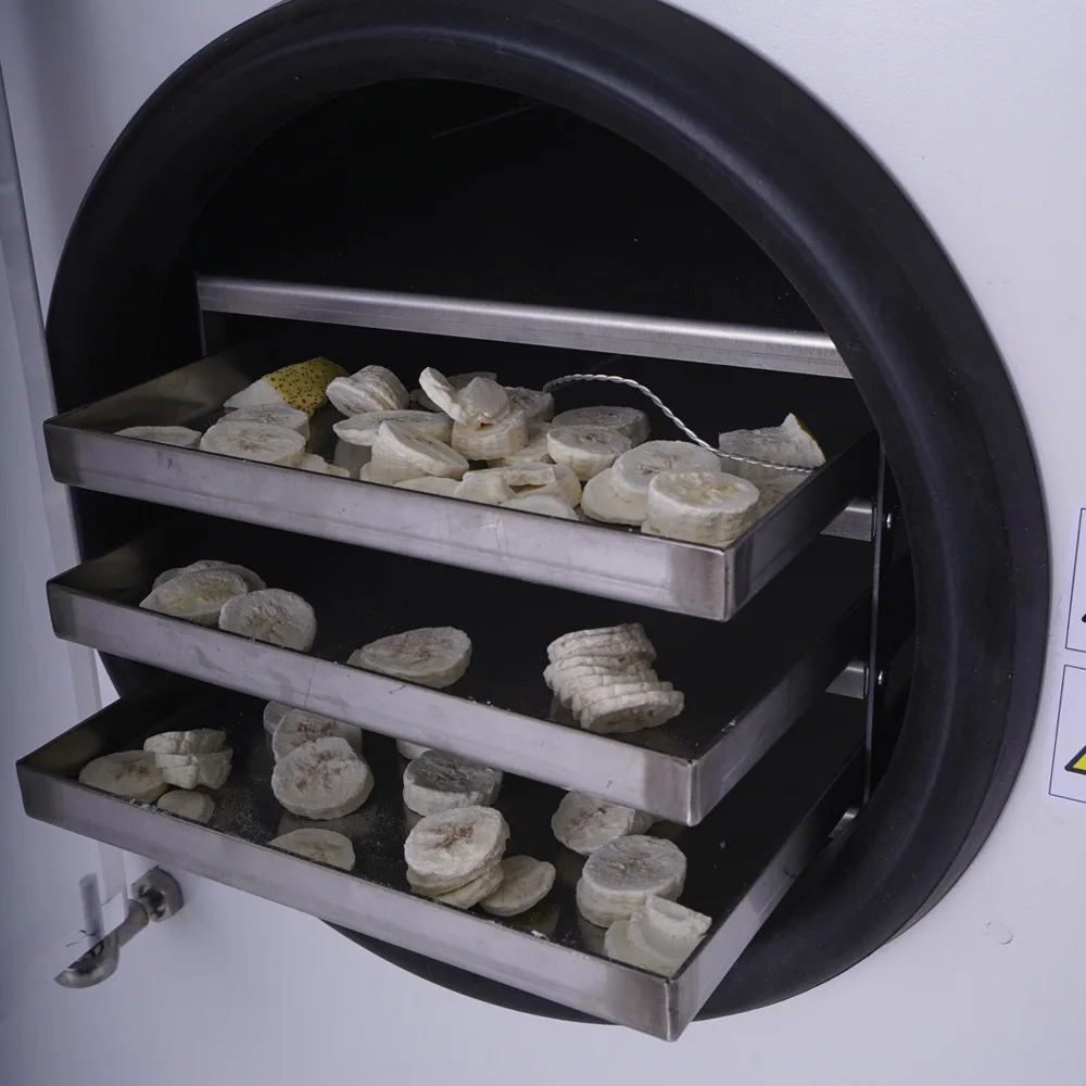 Professional Commercial Fruit Vegetable Strawberry Freeze Drying Machine Sea Cucumber Food Vacuum  Freeze Dryer