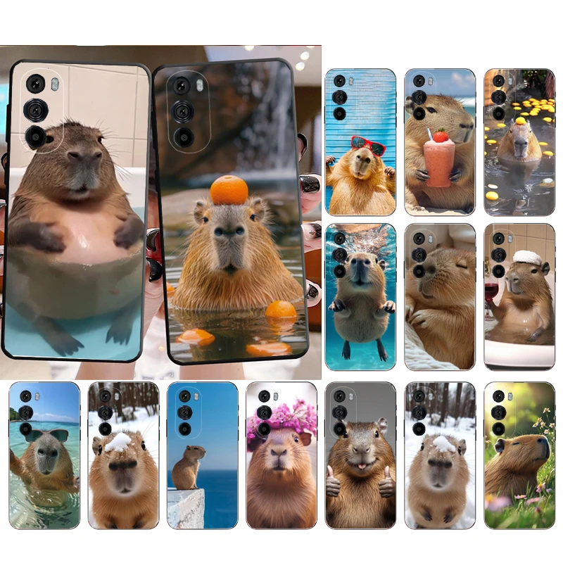 

Animal Capybara Funda Phone Case For Motorola Edge 50 40 Pro 60 50 40 30 Ultra Neo Fusion Moto G Play G Stylus G Power G