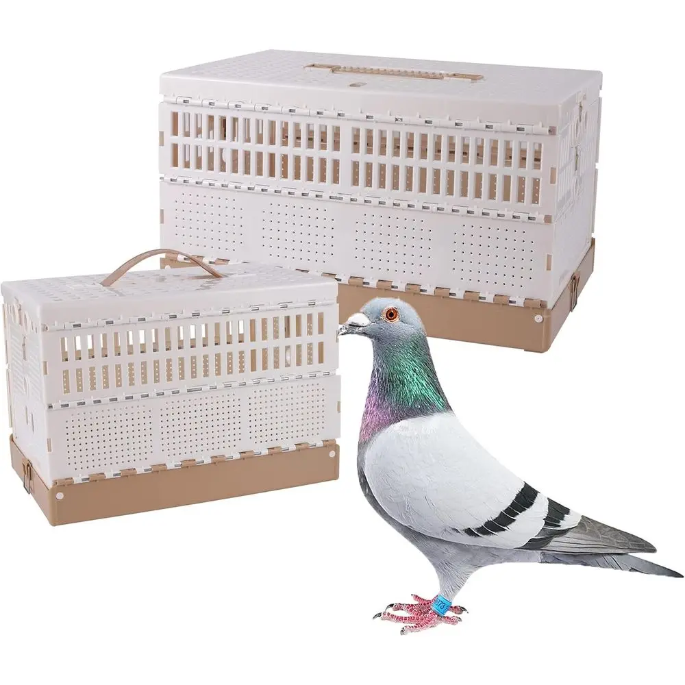 

Portable Folding Bird Cage with Handle, Easy Clean, Ideal for Travel, Training, and Competition (Medium)
