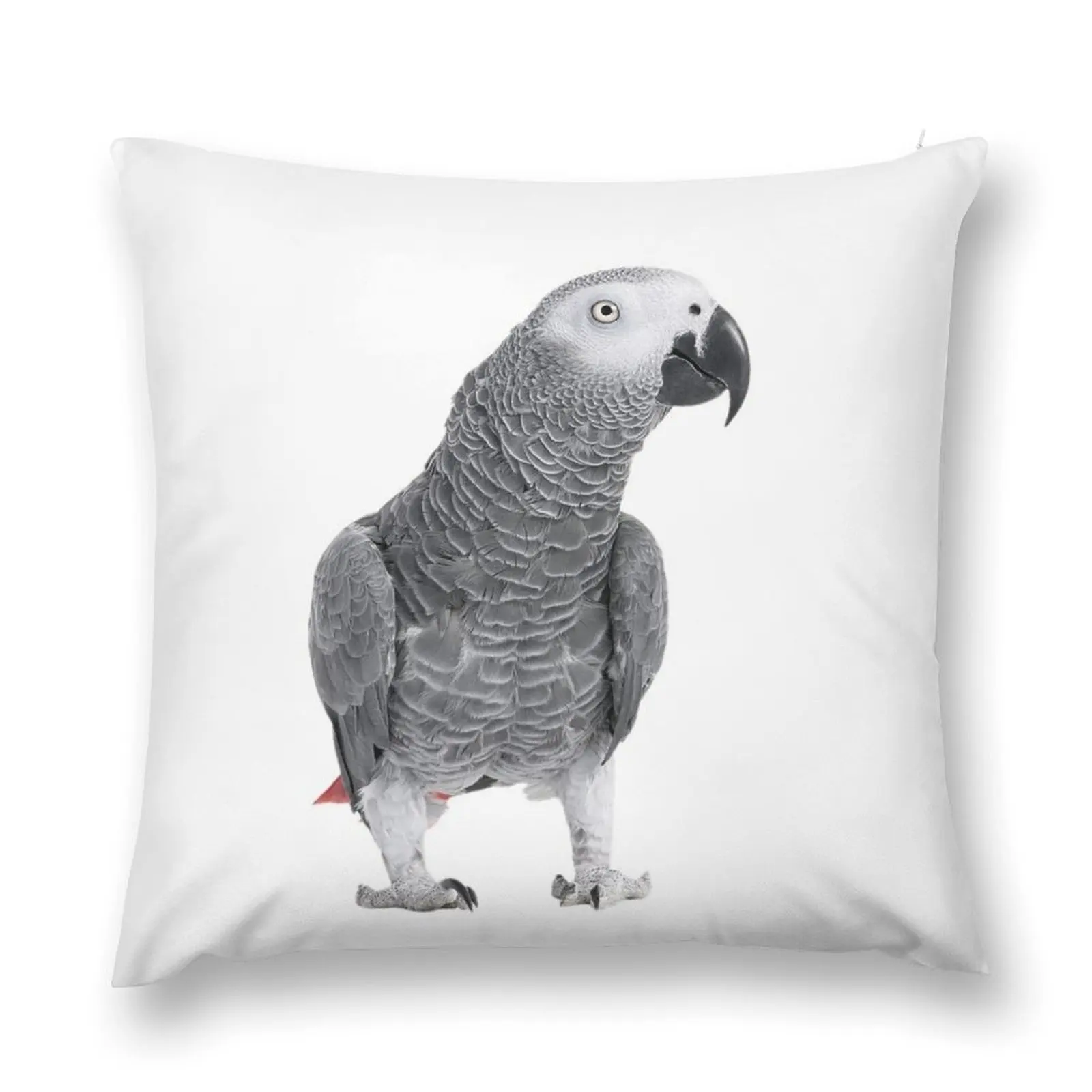 

African Grey Parrot Throw Pillow Pillowcases For Pillows Pillowcase Cushion Cushions For Children pillow