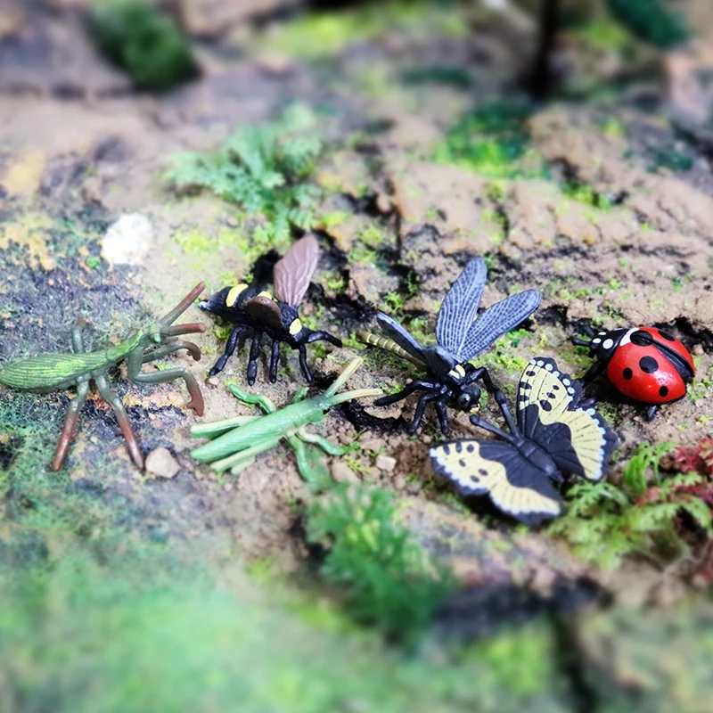 Oenux Insekt Tiere Modell Set Schmetterling Libelle Biene Käfer Spinne Skorpion Mantis Zikade Eidechse Garten Miniatur Kind Spielzeug Geschenk – Detail 23