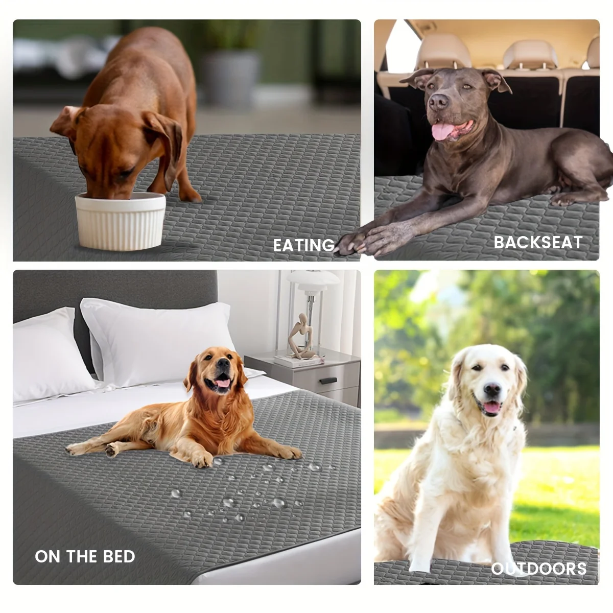 Thumbnail 3 - #63 Top Rated Dog Beds to Buy in 2026