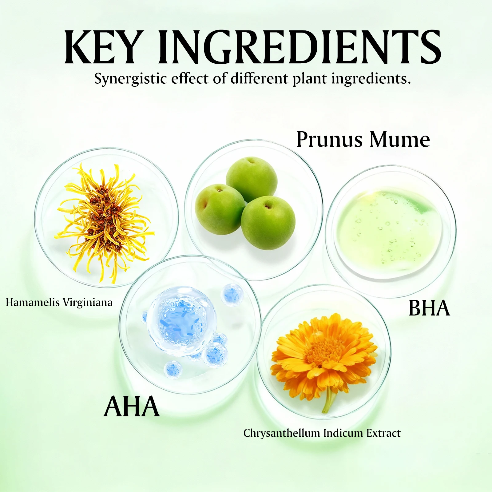 الأخضر البرقوق AHA BHA الحبر منعش الوجه جوهر مرطب معتدل التقشير حمض الساليسيليك العناية بالبشرة الرجال النساء #3