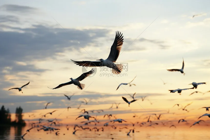 GA-4H-TX TX4 2.4Ghz…