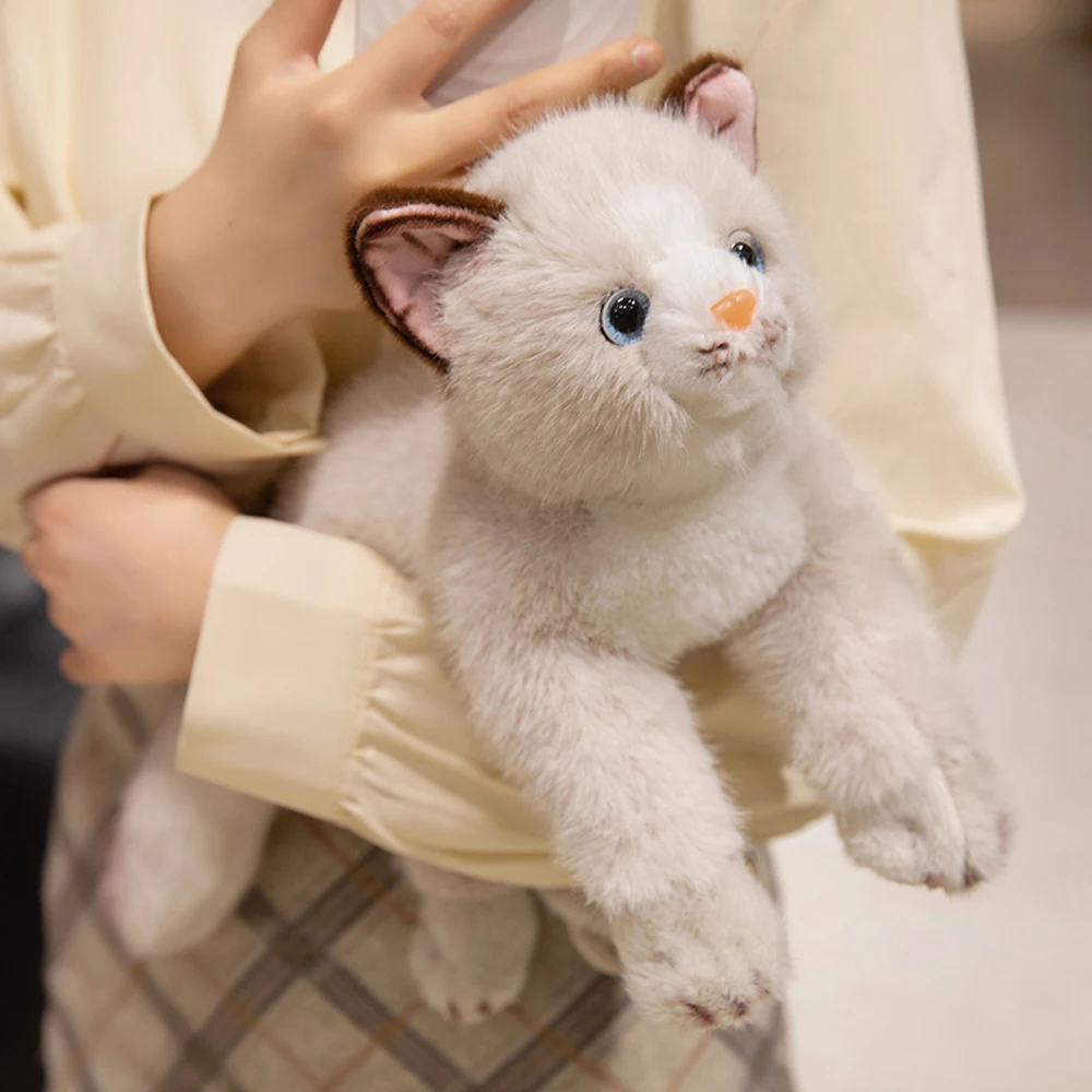 35 سنتيمتر رقيق البرتقال القط محشوة مزرعة الحيوان عناق الأسود كيتي القط ألعاب من القطيفة دسم القط دمى لينة عناق بلوشي يعرض