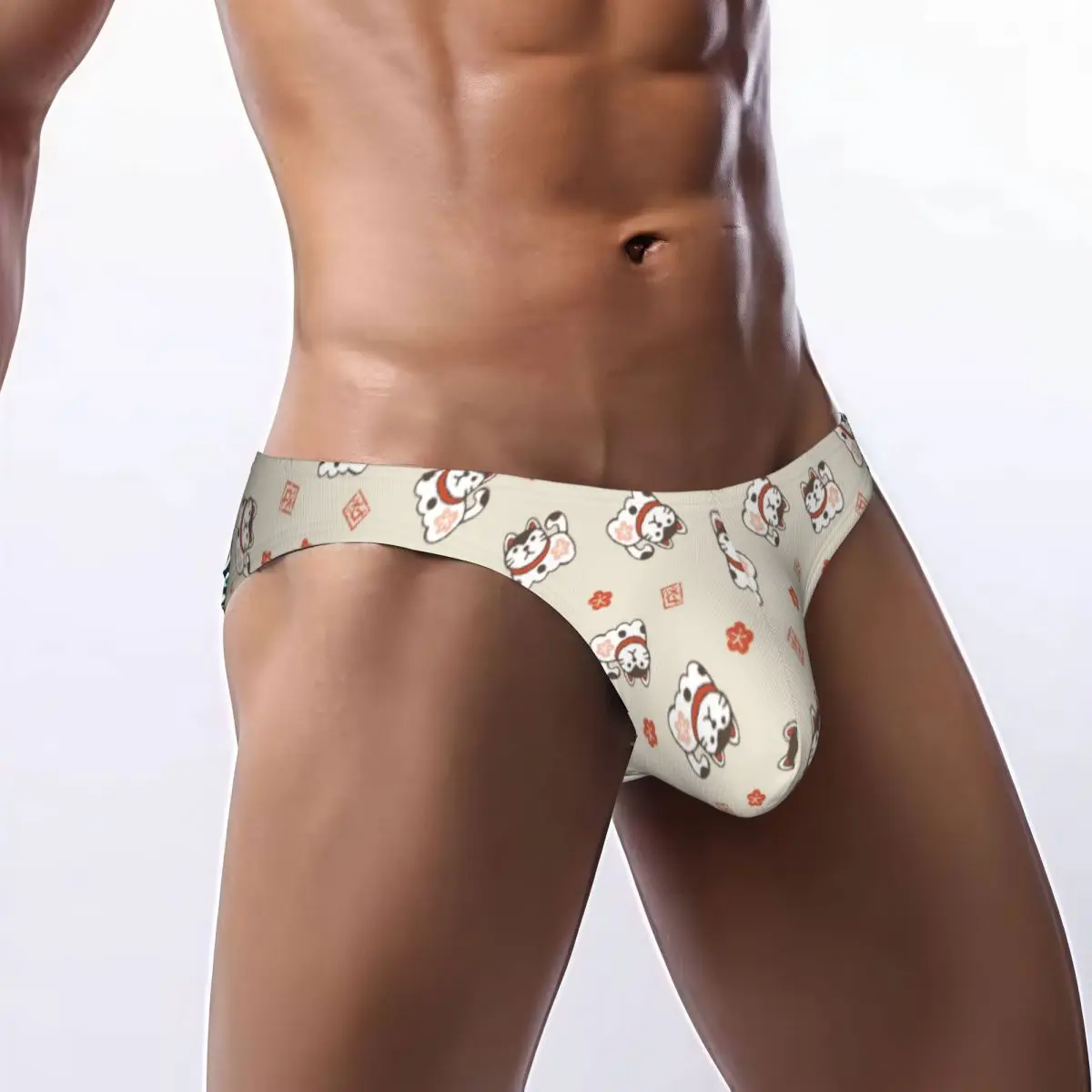 

Men's Briefs Sexy Underpants Guardian Dogs And Plum Flowers Bikini Underwear Men Panties