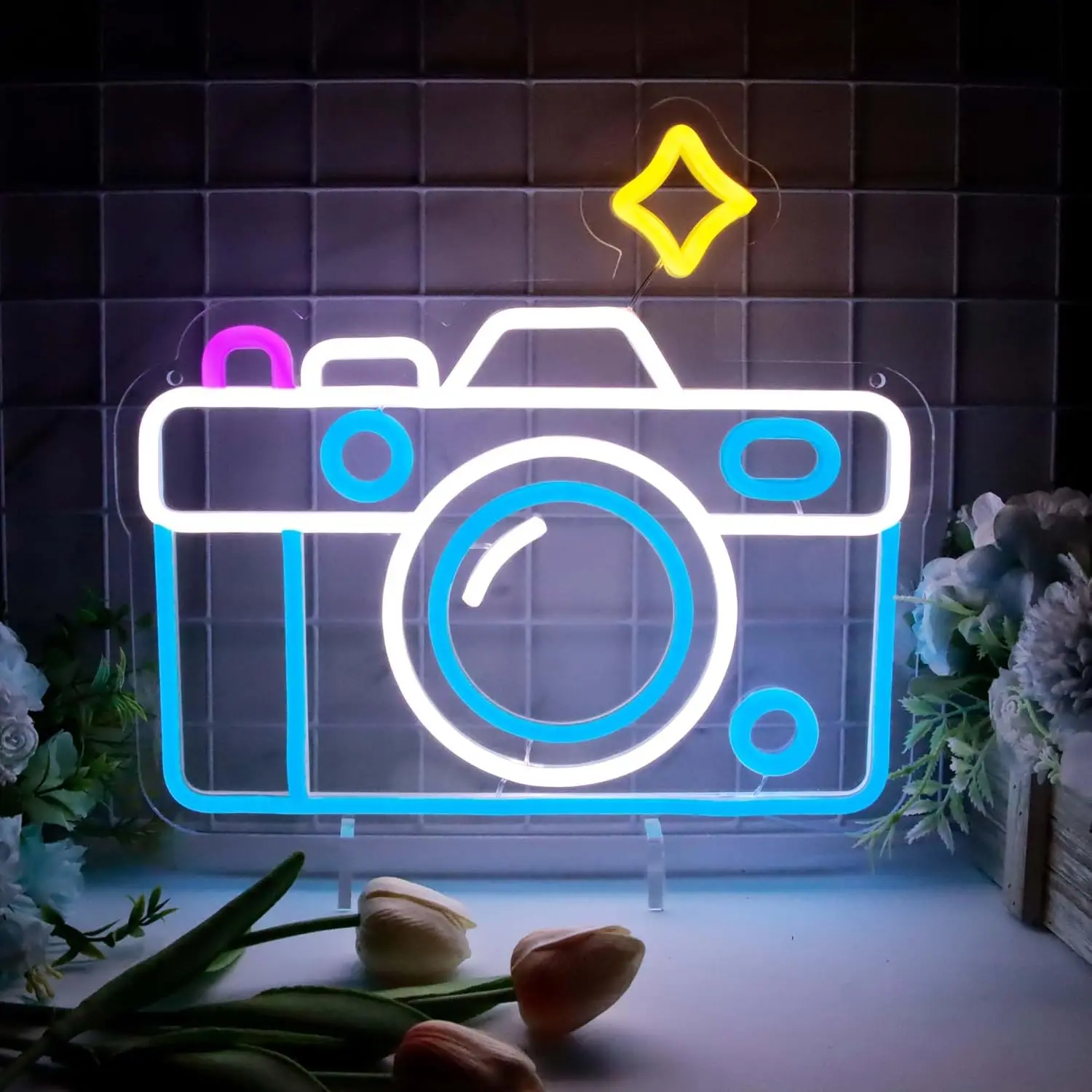 Neon Signs for Wall Decor, Photography Camera Theme Bedroom Light, Personalized Gift for Boys Girls Birthday Christmas Party