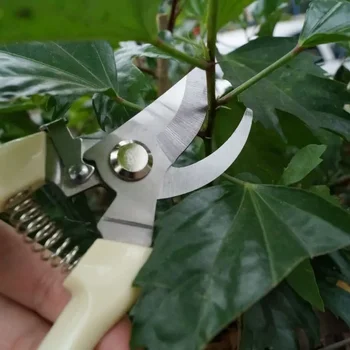 Pruner Shears Hand Tools Bonsai For Gardening Stainless Steel Pruning Shear Scissor For Flowers Branches Grass