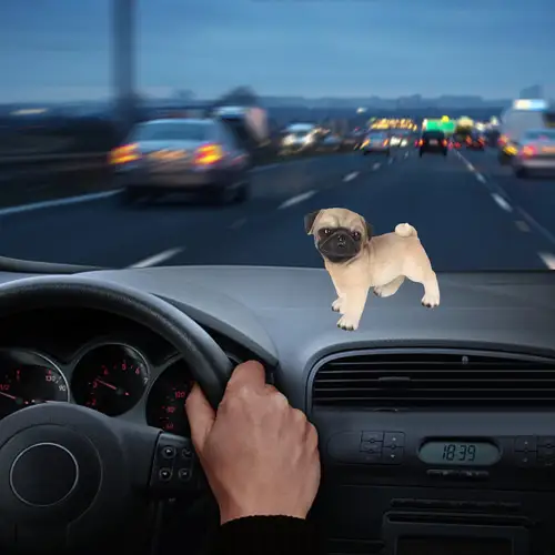 Imagen 2 del producto Estatua de perro de resina, artesanía de animales, decoración antideslizante, escultura de estatuilla de Pug para salpicadero de coche, mesa, decoración del hogar interior y exterior