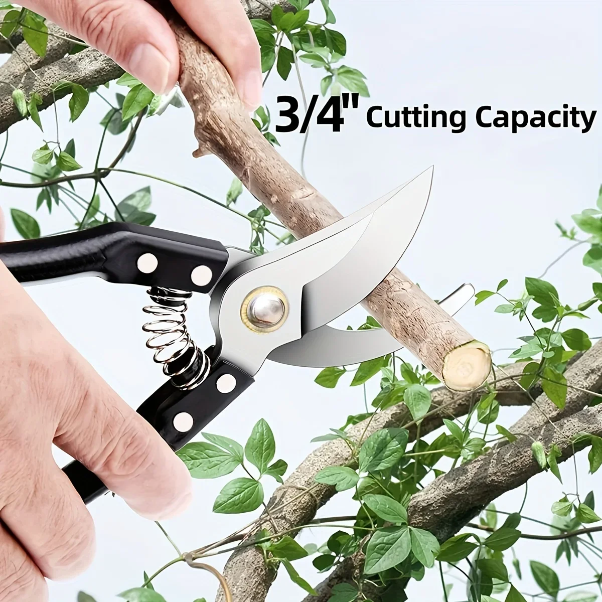 

Professional Garden Pruning Tools, Stainless Steel Bird Beak Shaped Scissors,Tree Trimmers Gardening,Green Cultivation