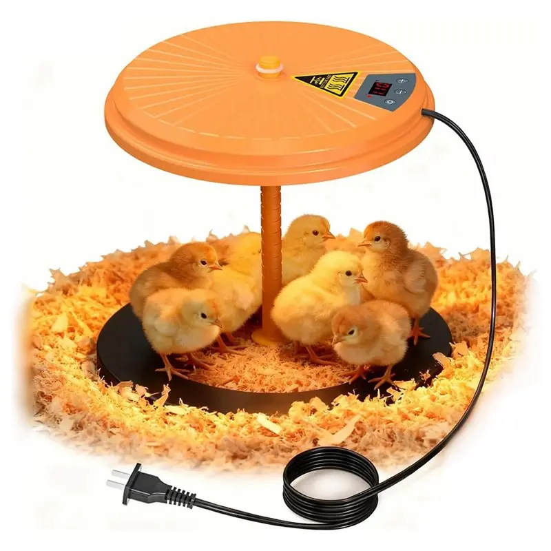 at43-pour-poulets-chauds-comme-une-poule-poussin-couveuse-chauffage-prise-americaine-peut-accueillir-plusieurs-poussins-poussins