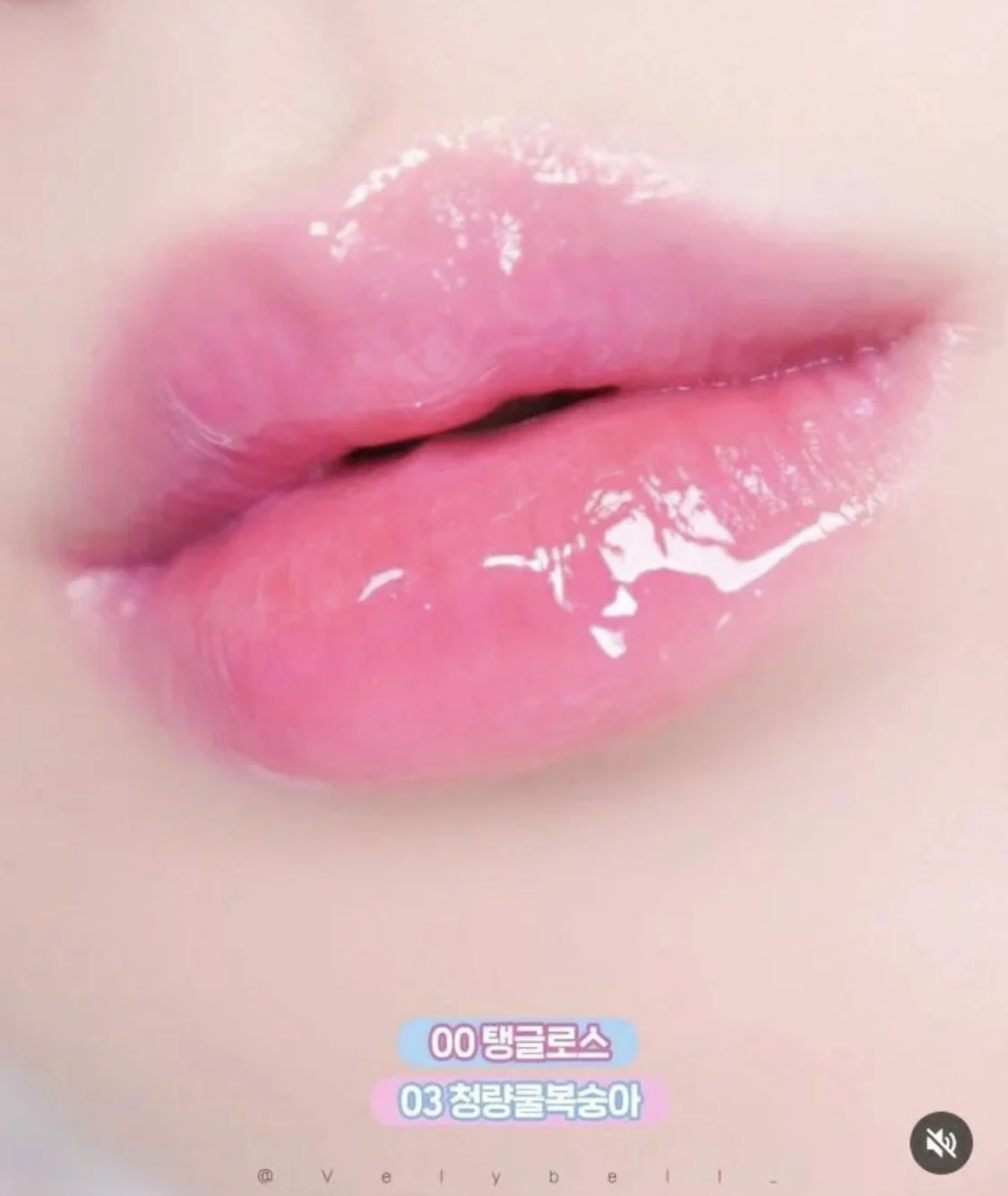 Rich juice ~new colorgram moisturizing rock sugar gourd water glossy lip gloss nue sexy