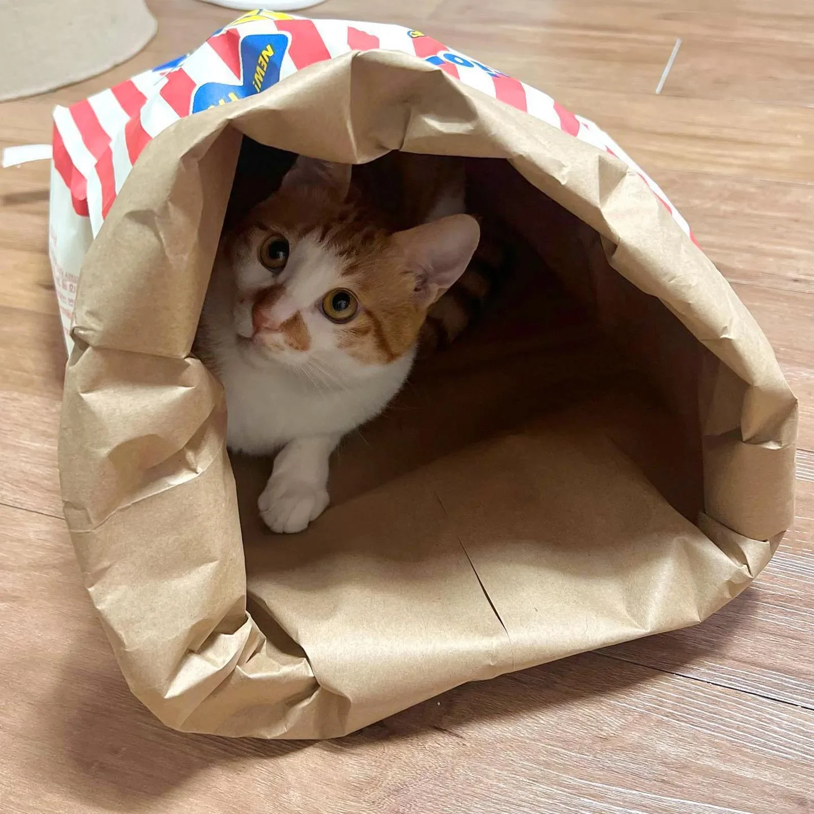 Creative Cute Kraft Paper Popcorn Bag Reative Cute Pet Interactive Plaything Pet Hide And Seek Puzzle Toy For Kittens Puppies