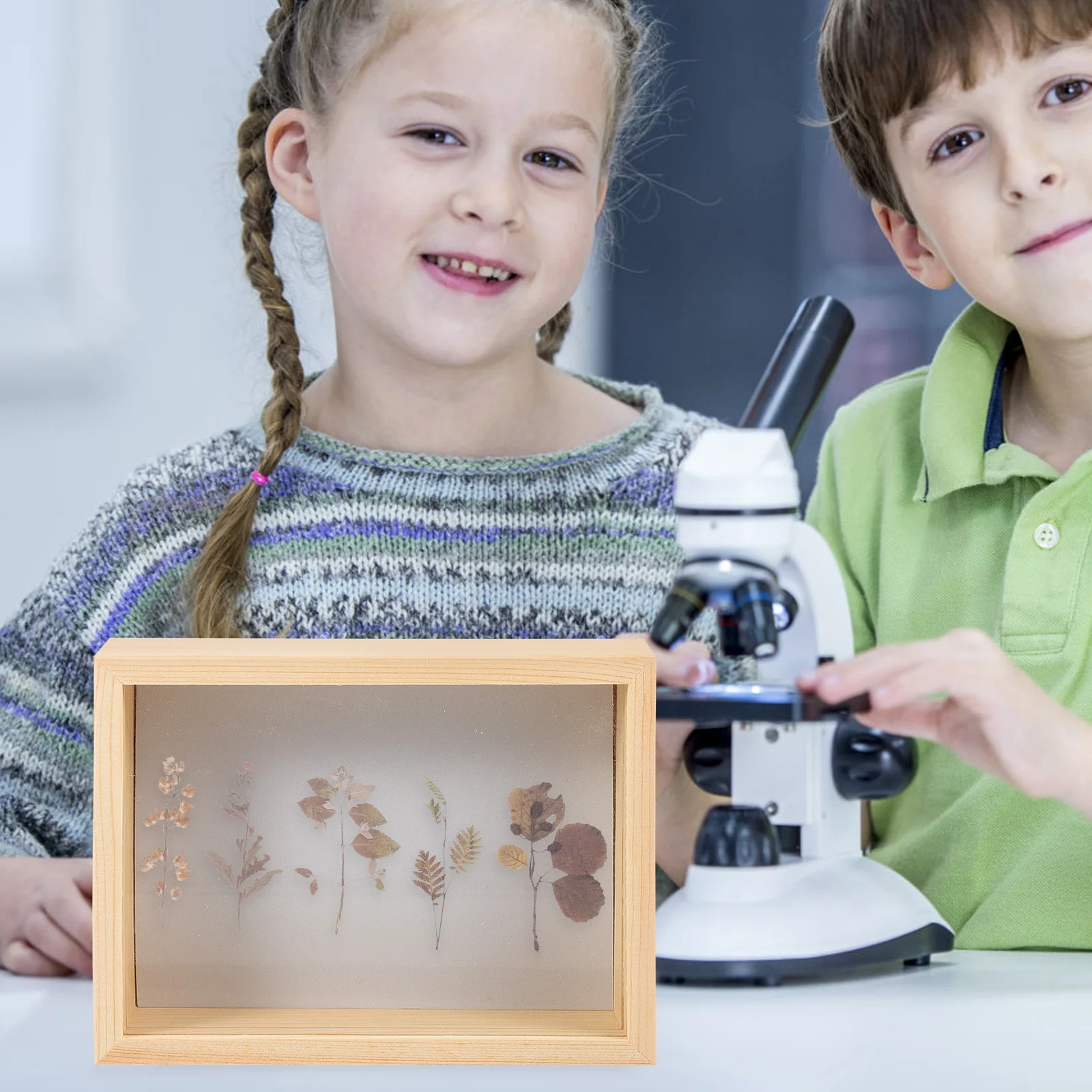 

Insect Display Box Biological Experiment Equipment Educaiton Tool Specimen Storage Container Transparent Multi