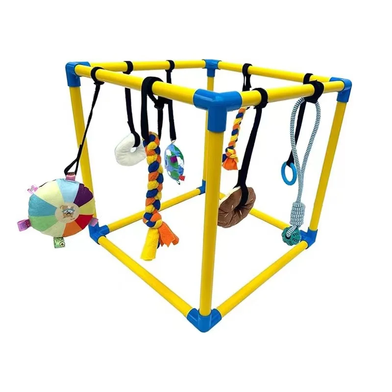 PVC Frame with Bungee Straps Enrichment Activity Center for Small Dogs Indoor Jungle Gym Puppy Play Gym with Hanging Toys