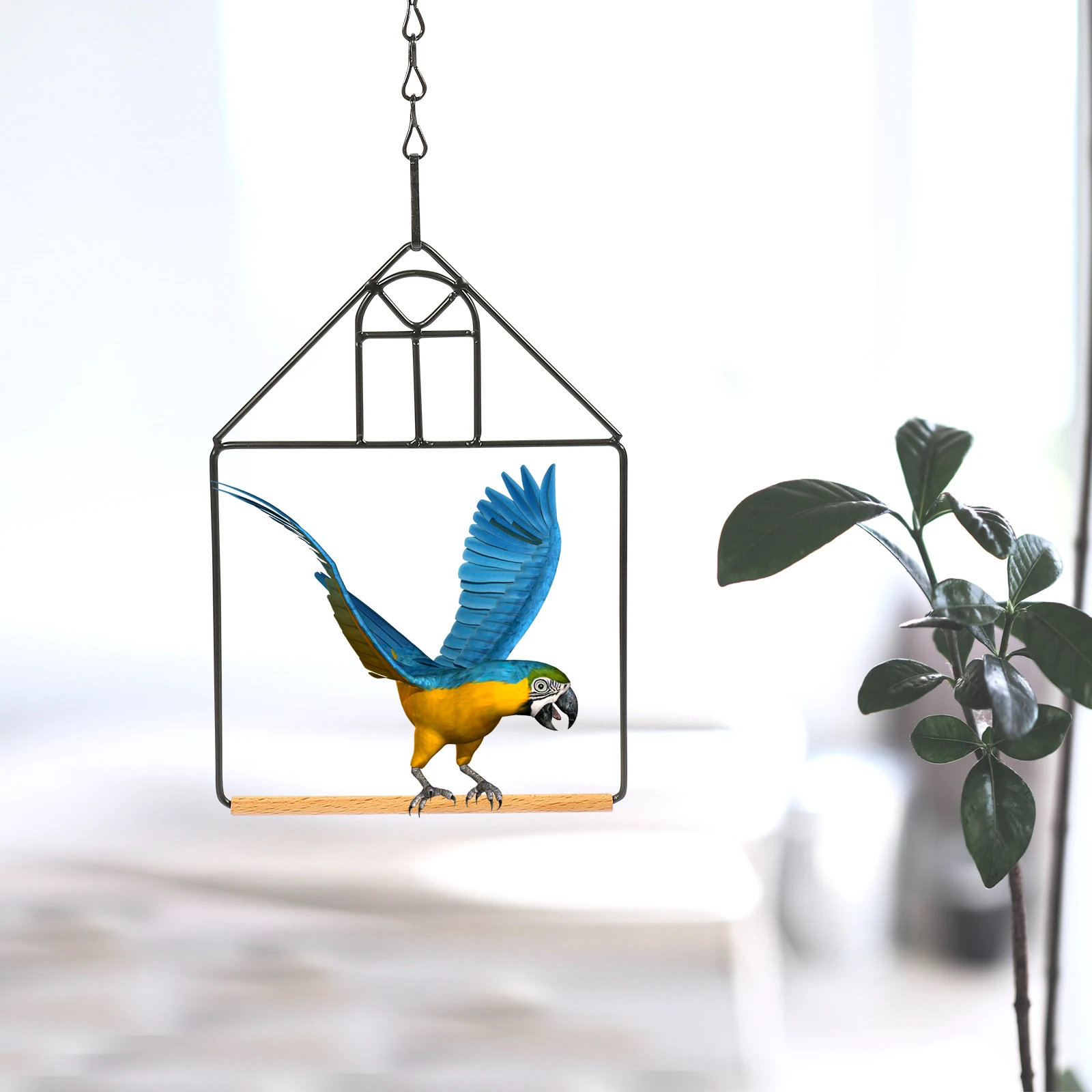 

3Sets Durable Stand Portable Hummingbird Swing Parrot Perch Training Rack Bird Supplies Hummingbird Feeder Stand