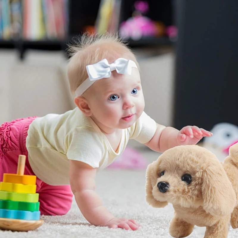 Hw-Elmini Robot Pup… - image