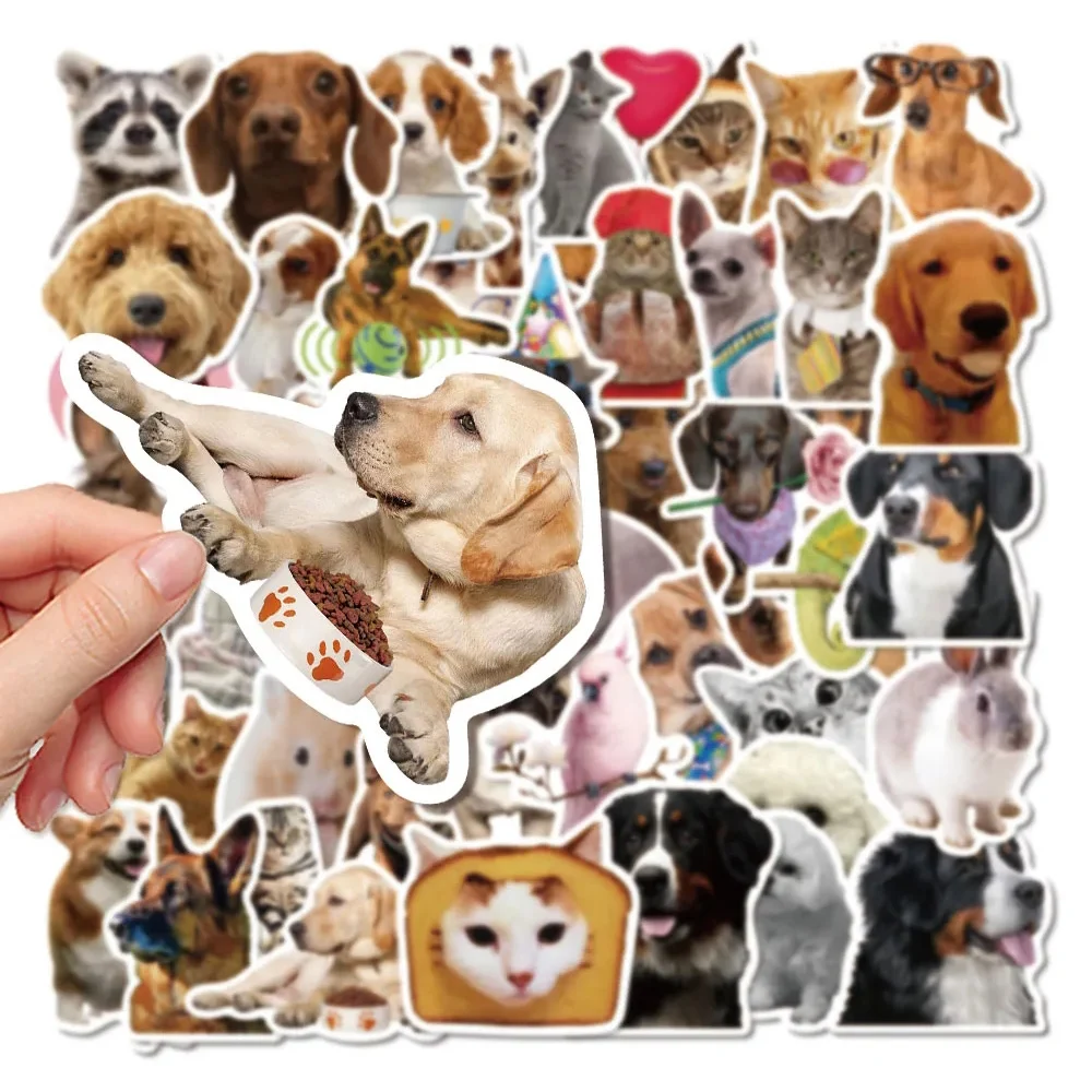 10/30/50pcs Funny Cat Dog MEME Stickers Kawaii Cute Animal Cartoon Decals DIY Notebook Luggage Phone Cute Kids Joke Sticker Toys