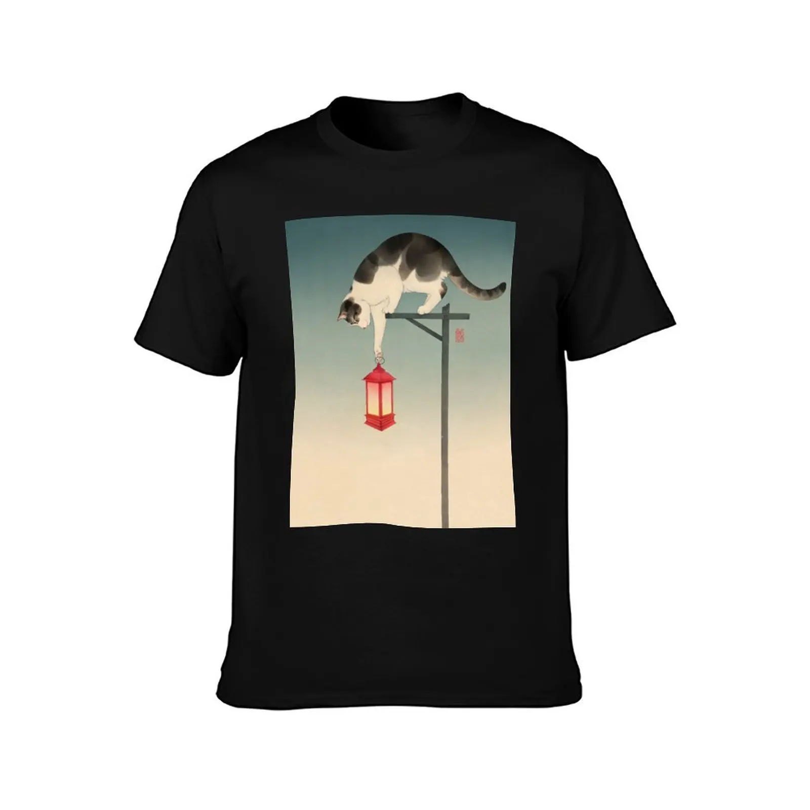 Cat Holding Street Lamp T-Shirt Plus Size Lightweight Tee Shirt T-Shirt