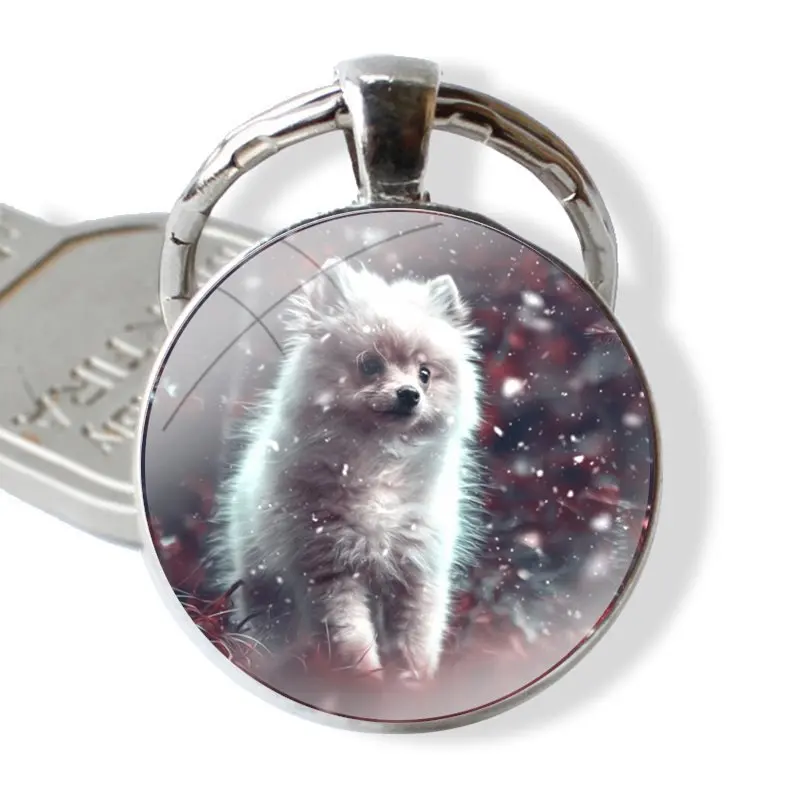 Accessories Phone Cases Covers glass cabochon keychain Car key chain Charms keychains Gifts Pomeranian dogs