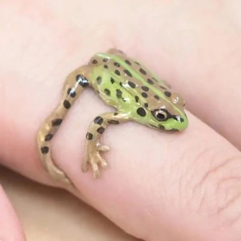 Bagues mignonnes en forme de grenouille verte bizarre pour adultes et enfants, bague d'arbre réglable cool, grenouilles ouvertes, bijoux délicats faits à la main