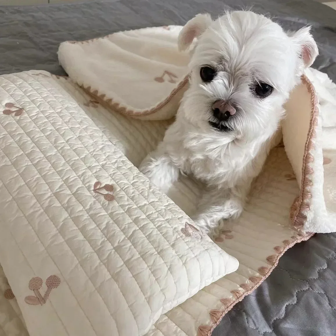 Dog Bed Set with Pillow, Removable Mattress Comforter, Washable Cat Nest, Soft Comfortable Pet Supplies, Accessories, 3Pcs Set