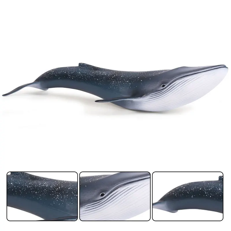 

Children's cognitive simulation marine animal toy model blue whale toy static hand-made ornaments