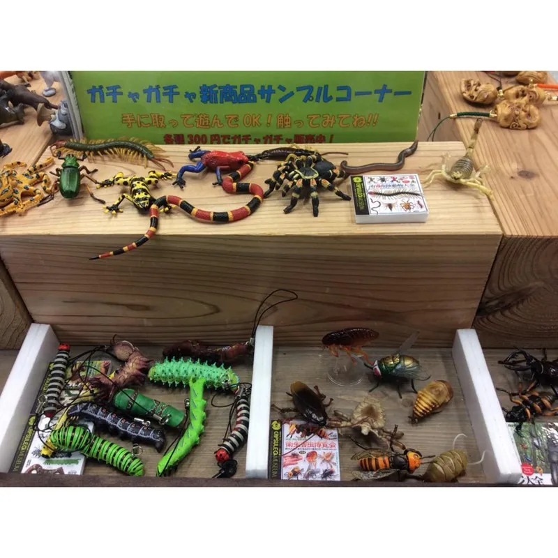 الحيوانات الخطرة Gashapon Centipede العنكبوت محاكاة الإبداع نموذج عمل الشكل