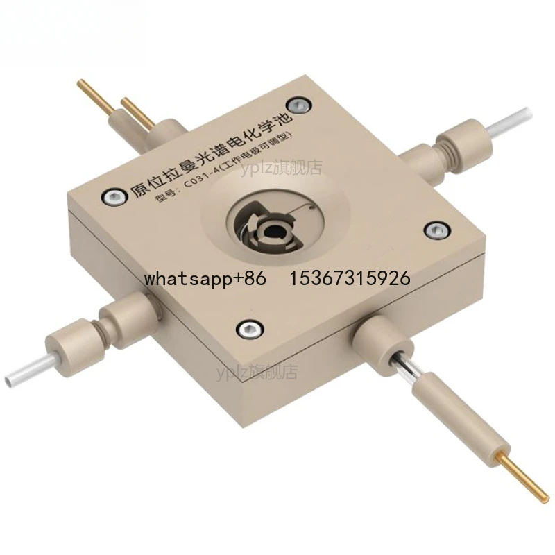 In situ Raman spectroelectrochemical cell