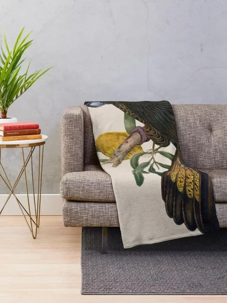 Yellow Tailed Black Cockatoo (Zanda funerea) Throw Blanket Summer Luxury Thicken Cute Plaid valentine gift ideas Blankets